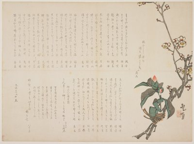 Branches de prunier et de camélia, 1829 - Nagayama Kchoku